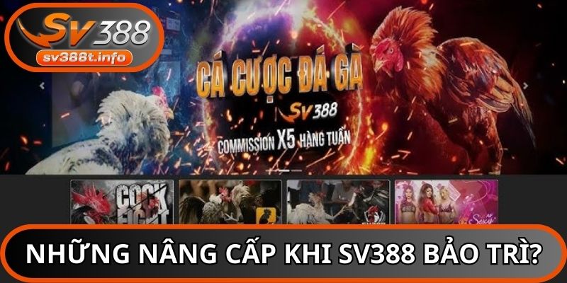 Nhà cái bảo trì toàn bộ hệ thống