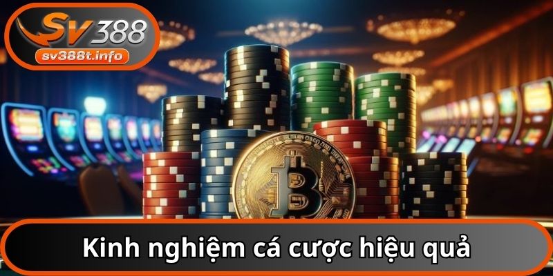 Kinh nghiệm cá cược hiệu quả