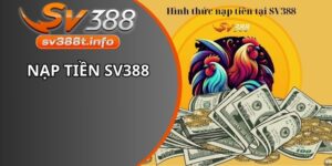 Nạp tiền SV388