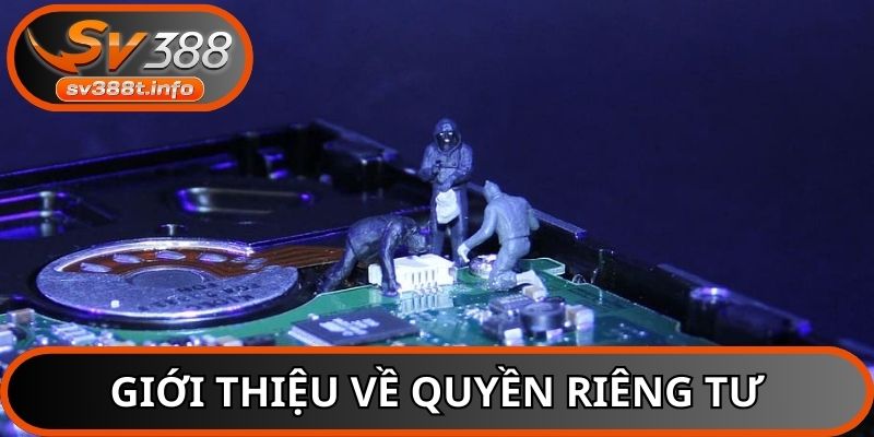 Tổng quan về quy định bảo mật thông tin của SV388