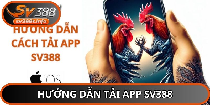 Hướng dẫn chi tiết cách tải app dành riêng cho tân binh