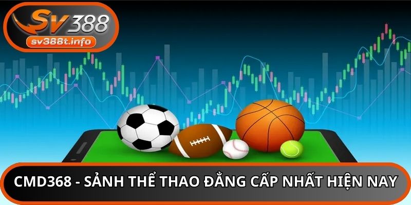 CMD368 - Sảnh thể thao đẳng cấp nhất hiện nay