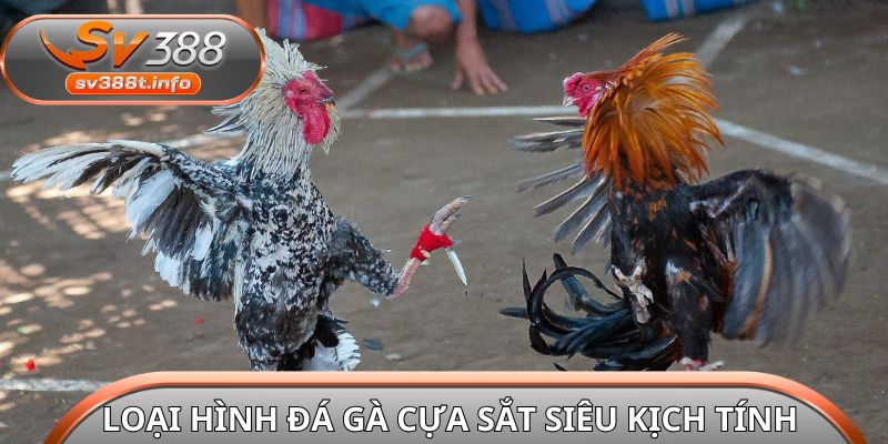 Loại hình đá gà cựa sắt siêu kịch tính