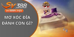 Mơ Xóc Đĩa đánh con gì