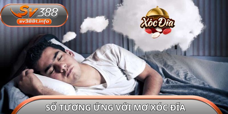 Số tương ứng với giấc mơ Xóc Đĩa