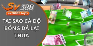 Tại sao cá độ bóng đá lại thua