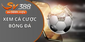 Xem cá cược bóng đá