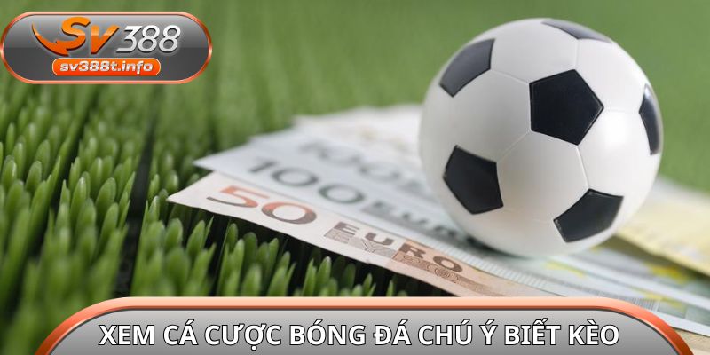Xem cá cược bóng đá chú ý biết kèo